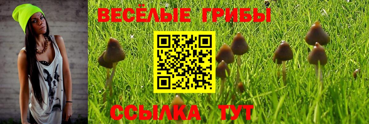 Псилоцибиновые грибы ЛСД  Вход с VPN  Кемерово 